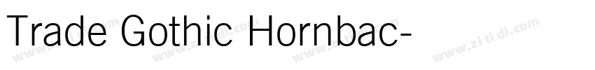Trade Gothic Hornbac字体转换